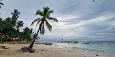 467525339_1111107957684005_8679022528945904636_n 467525339_1111107957684005_8679022528945904636_n