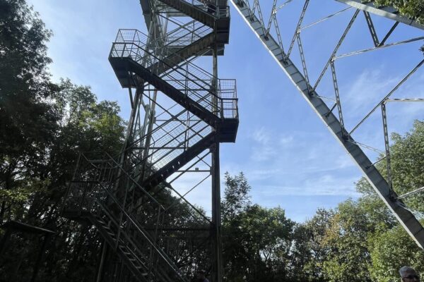 386104398_817661413695329_5097407598012674503_n