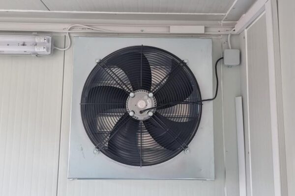 387085141_812790787515725_6200071512432699454_n