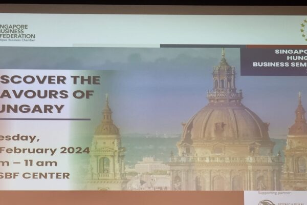 428615173_906760898118713_3786141839746203109_n