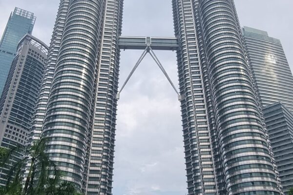 428622712_908774477917355_2154403441129881185_n