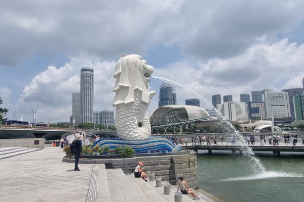 428626533_906761768118626_1734476989477776244_n