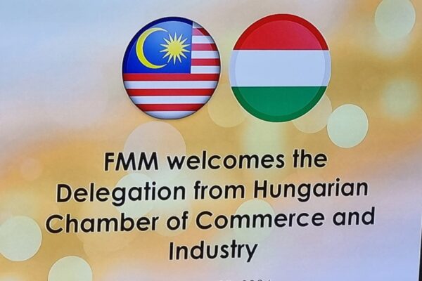 429817703_908774247917378_3857288310894442844_n